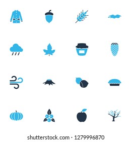 Seasonal icons colored set with pine cone, maple, pumpkin and other acorn elements. Isolated vector illustration seasonal icons.