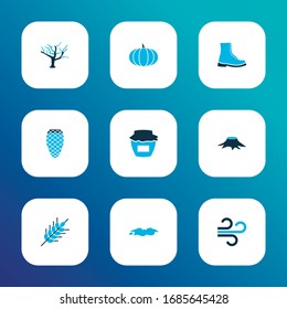Seasonal icons colored set with wind, pumpkin, boot and other timber elements. Isolated vector illustration seasonal icons.