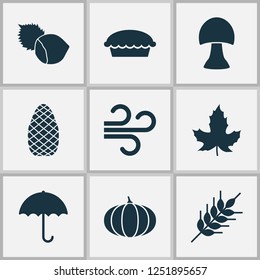 Seasonal icons set with apple pie, wheat, maple and other tart elements. Isolated vector illustration seasonal icons.