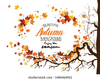 Seasonal image with leaves and branches frame. Nature design background. Fall maple leaves illustration.