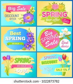 Seasonal offer spring big sale advertisement daisy flowers, bouquet of tulips and fresh anemone vector illustration promo sticker, springtime blossoms