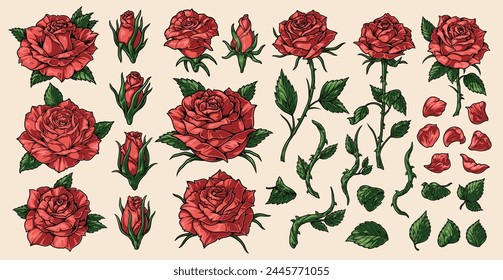 Seasonal roses colorful set stickers with open and closed bud near petals and stems for florist shop advertising vector illustration