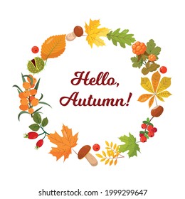 Seasonal round banner or frame with different autumn elements on white background. Bright leaves, berries and mushrooms collection in circle. Vector cartoon or flat illustration. 