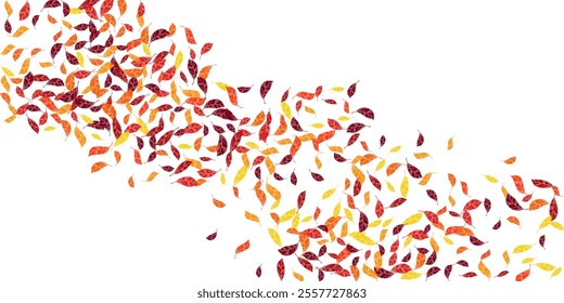 Seasonal scattered dry leaves vector illustration. Scarlet yellow maroon shades dry autumn leaves magical botanical background. Creative tree foliage outdoors illustration.