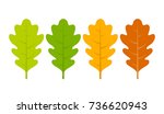 Seasonal specific oak leaves icon vector illustration isolated on white background