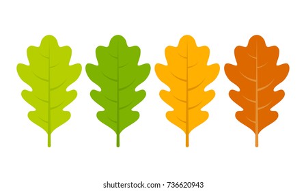 Seasonal Specific Oak Leaves Icon Vector Illustration Isolated On White Background