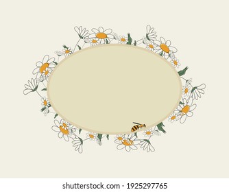 Fondo vectorial de marco dibujado a mano de primavera estacional.Caja decorativa de verano o borde con margaritas, abeja tierna y lugar para texto.Fondo de flores o plantilla con abeja de miel para el cartel de publicación de medios sociales