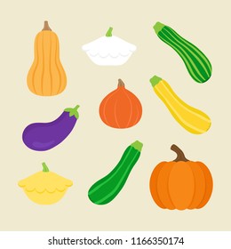 Seasonal squash, gourd vegetable vector illustration set; pumpkin, butternut squash, patty pan squash, green, yellow and striped zucchini, hokkaido pumpkin and eggplant. Isolated on beige background.