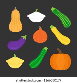 Seasonal squash, gourd vegetable vector illustration set; pumpkin, butternut squash, patty pan squash, green, yellow and striped zucchini, hokkaido pumpkin and eggplant. Isolated on dark background.