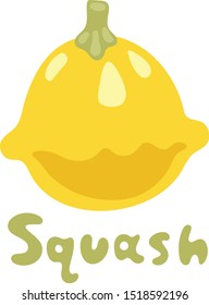Seasonal squash, gourd vegetable vector illustration. Patty pan squash. Green and yellow image isolated on white background