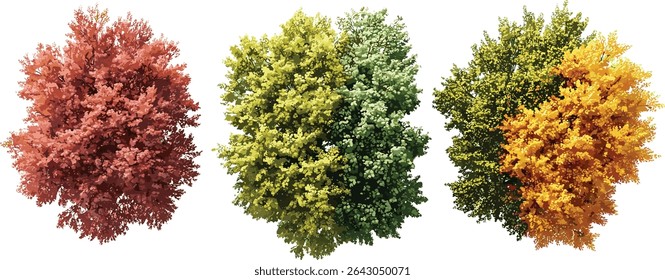 Seasonal top view from above trees, colourful autumn foliage, vibrant nature landscape, forest canopy, changing leaves, nature photography, autumn colors, aerial forest