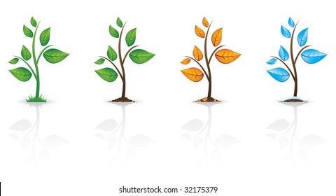 Seasonal trees with reflections.