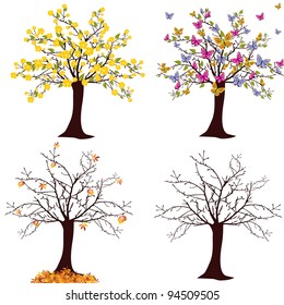 Seasonal trees - vector