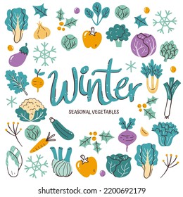Fondo de verduras de temporada. Composición de verduras de invierno hechas de coloridos iconos vectoriales dibujados a mano, aislados en fondo blanco.