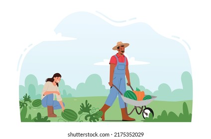 Seasonal Work on Farm. Man and Woman Farmers Pick Harvest to Wheelbarrow in Orchard. Gardener Characters Harvesting Ripe Watermelon and Carrot in Garden or Farm. Cartoon Vector Illustration