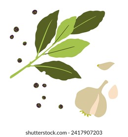 The seasoning for the broth. Soup. Laurel leaf, pepper peas, garlic. Collection of vector illustrations. Isolated objects on white background