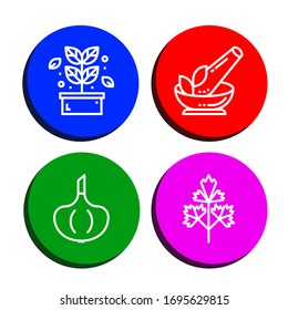 seasoning icon set. Collection of Herb, Garlic, Parsley icons