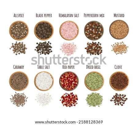 Seasoning set flat style, top view. Clove, Mustard, Allspice, Himalayan salt, Table salt, Black Pepper, Dried basil, Peppercorn mix, Red paper, Caraway.