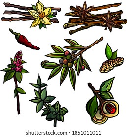 Seasoning set, white background, cartoon style, isolated, vanilla, mint, peanut, allspice, cinnamon, marjoram, nutmeg, red chili, leaves, condiment, herb, plant, flavoring, cooking, kitchen, aroma