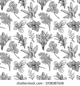 Seasonings and herbs pattern. Aromatic spices, healthy herbs. Basil, oregano, parsley, dill.Hand-drawn vector illustration