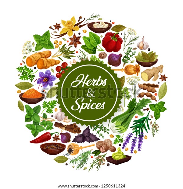 Seasonings Icon Herbs Spices Cooking Grocery Stock Vector (Royalty Free ...