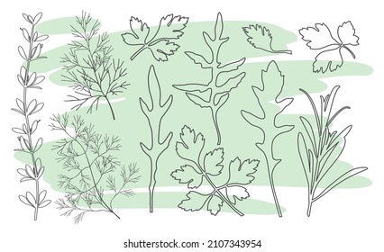 Seasonings. Line silhouettes of fragrant spices of thyme, dill, arugula, parsley and rosemary on a light green spot background. Vector illustration isolated on white background.
