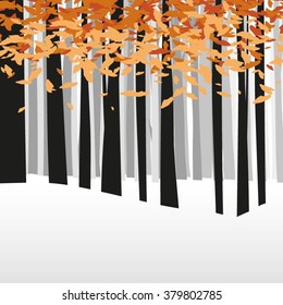 Seasons autumn forest