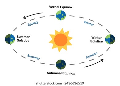 Earth’s seasons diagram. equinoxes and solstices. The Earth's orbit around the Sun. Astronomy science education. Poster, infographic, banner. Scientific design. Vector and illustration.