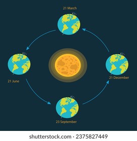 Seasons of earth vector illustration. All four seasons of earth 