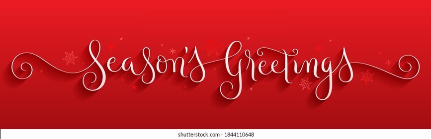 SEASON'S GREETINGS white vector brush calligraphy banner with spiral swashes on red background