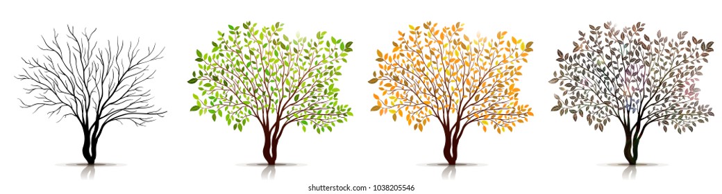 Seasons of tree vector