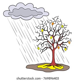 Seasons and trees, autumn rain
