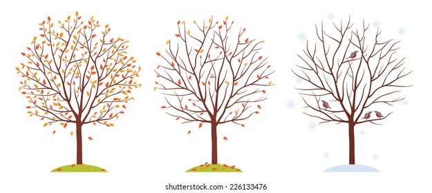Seasons. Trees in autumn and winter. Fall of the leaves. Isolated on white background. Vector illustration.