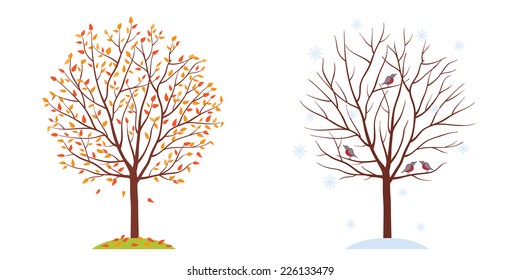 Seasons. Trees in autumn and winter. Fall of the leaves. Isolated on white background. Vector illustration.