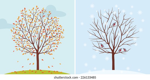 Seasons. Trees in autumn and winter. Fall of the leaves. Vector illustration.