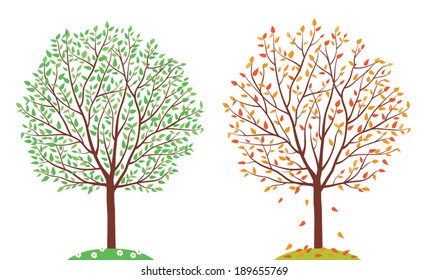 Seasons. Trees in summer and autumn. Vector illustration.