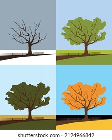 Razones. Otoño de verano de primavera invernal. Árbol solitario. Ciclos ambientales. Imagen vectorial para impresiones, afiches e ilustraciones.