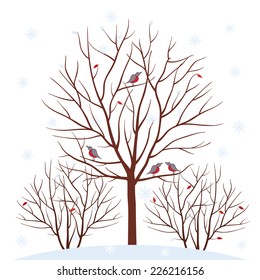 Seasons. Winter trees with birds. Winter time. Isolated on white background. Vector illustration.