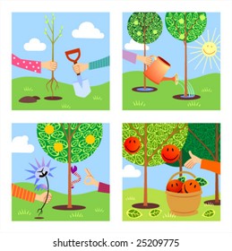 Seasons of the year in the apple garden
