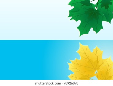 Seasons. Yellow and green maple leaves.