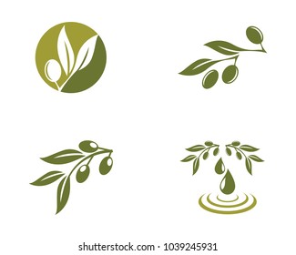 seat of olive logo template vector design