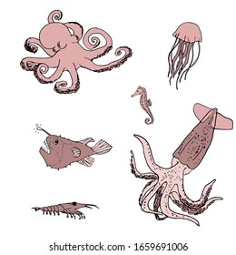 Seat of vector hand drawn illustrations. Octopus, squid, jellyfish, sea horse, angler fish