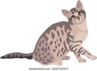 Seated playing kitten with spotted coat color