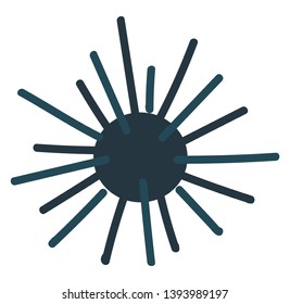 Seaurchin illustration vector on white background 