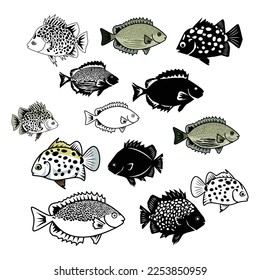 Seawater fish collection set on with background. fish, animal, sea, ocean, seafood, coral fish, tropical fish, food, aquarium, black, white, simple, vector illustration.