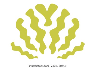 Seaweed abstract illustration. Algae green element isolated on white background.