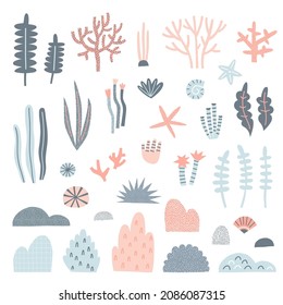 Seaweed Alga Shell Starfish Coral reef vector clip-art set isolated on white. Childish cuts out ocean bottom illustration collection. Under the sea life nautical nursery design elements.