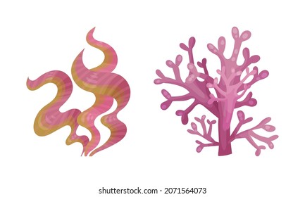 Seaweed and Algae as Aquatic and Marine Plants Growing on Ocean Bottom Vector Set