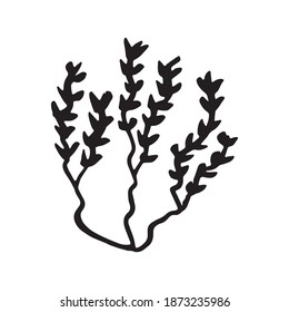 seaweed. algae silhouette icon. vector sign