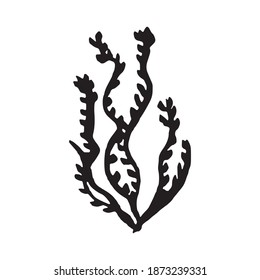 seaweed. algae silhouette icon. vector sign